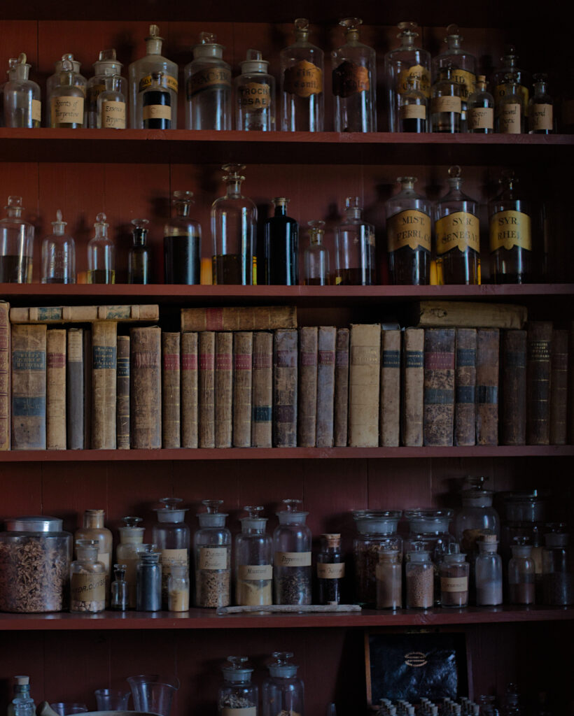 Historical reenactors in period costumes at Fort Vancouver National Historic Site in Vancouver, Washington, depicting 19th century fur trade era with restored buildings, museum displays, and living history exhibits.