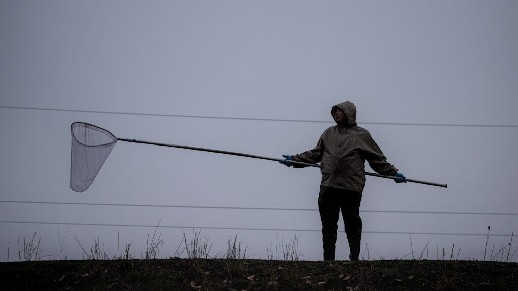 Anglers standing along the Cowlitz River in Longview during the 2025 smelt run attempting dip-net fishing, with no catches and visible turnout despite criticism of WDFW’s timing and management.